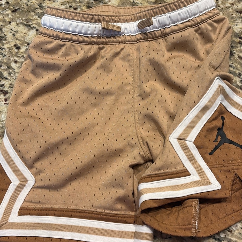 Tan Jordan shorts